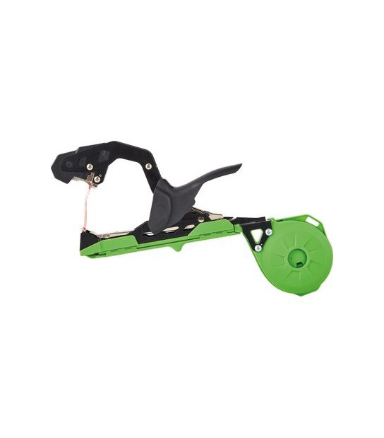 Stars Legatrice A Nastro Stars