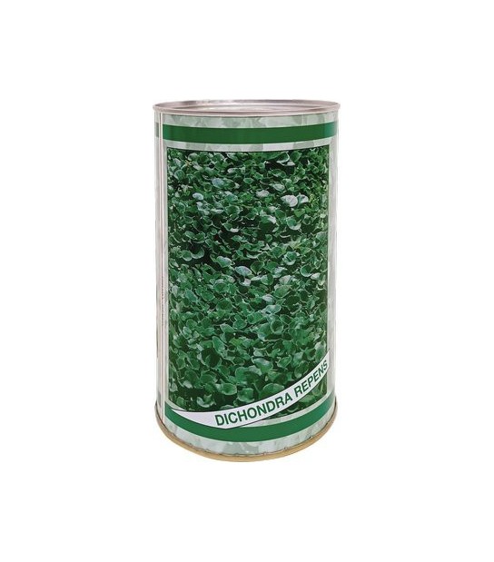 Seme Prato Dichondra Repens Gr 500