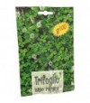 Seme Prato Trifoglio Repens Nano Gr 100