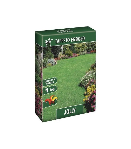 Seme Prato Jolly Kg 1