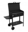Mille Barbecue Carbonella Vanessa Plus Mille Cm 70X40 H.Cm 90