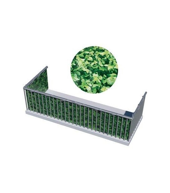 Stars Telo Balcone Frangivista Stampato Stars Pvc Siepe Gr/Mq 450 H.Cm 90 L.Mt 6 + Corda