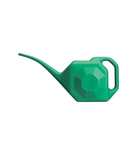 Di Martino Innaffiatoio Becco Lungo Plastica Lt 2