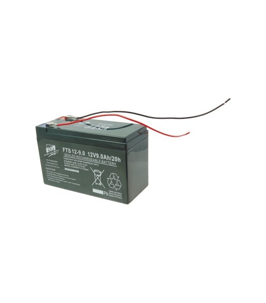 Batteria Pb/Acido Volt 12 Ah 9 Faam