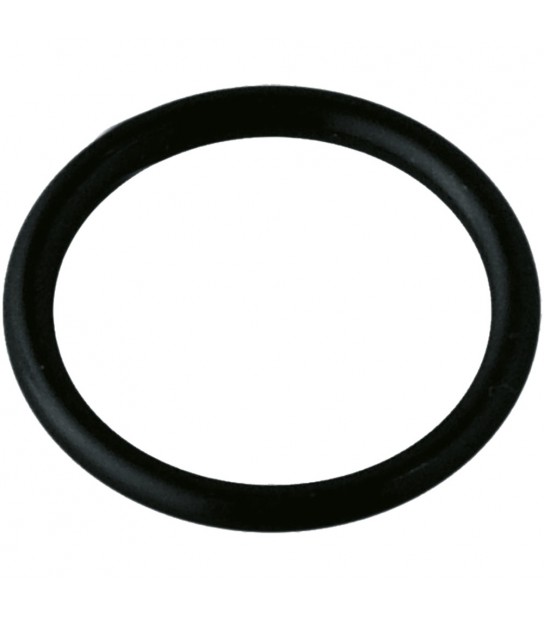 Guarnizione Codolo Per Sigma 8 2010 E 2016