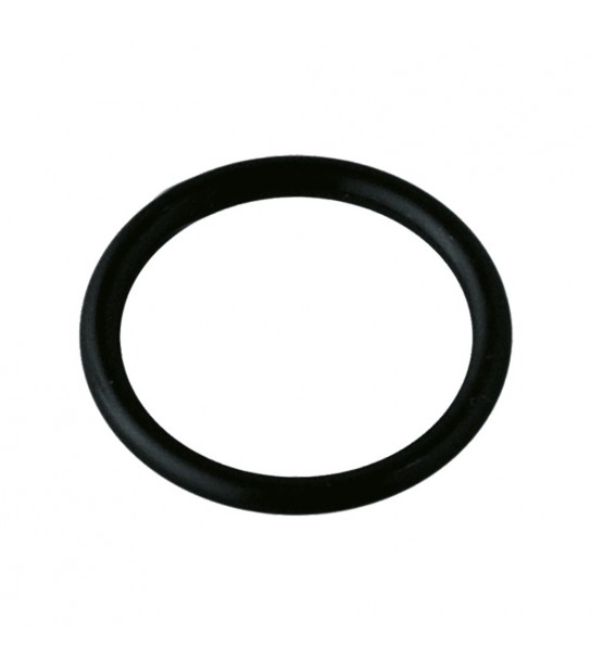O-Ring Per Bocchettone Cassetta Di Scarico Ad Incasso Oli 74 D.37 Mm