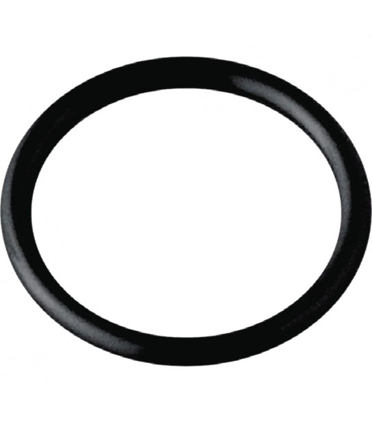 Guarnizione Or Per Sifone A Fiasco D.107 Mm