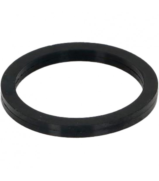 Guarnizione Piana Per Resistenza Scaldabagno Elettrico Ariston D.45 Mm