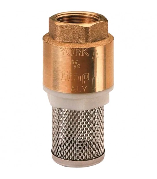 Valvola Di Ritegno Yatch Femmina Con Filtro In Acciaio Inox 1 Dn25