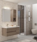 Legnobagno Express Line 02 SX 100cm Olmo Terra