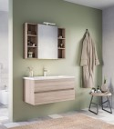 Legnobagno Express Soft 06 100cm Olmo Terra