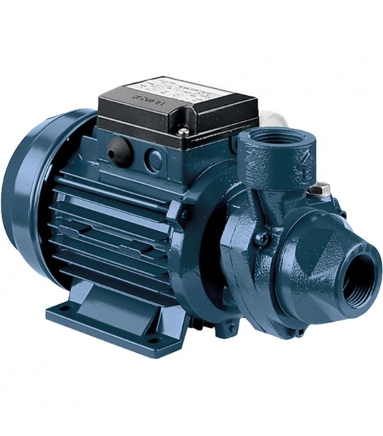 Elettropompa Periferica In Ghisa Pra 1.00 M