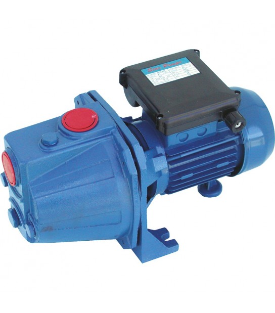 Elettropompa Autodescante Ghisa Jet 80