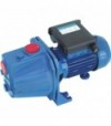 Elettropompa Autodescante Ghisa Jet 100