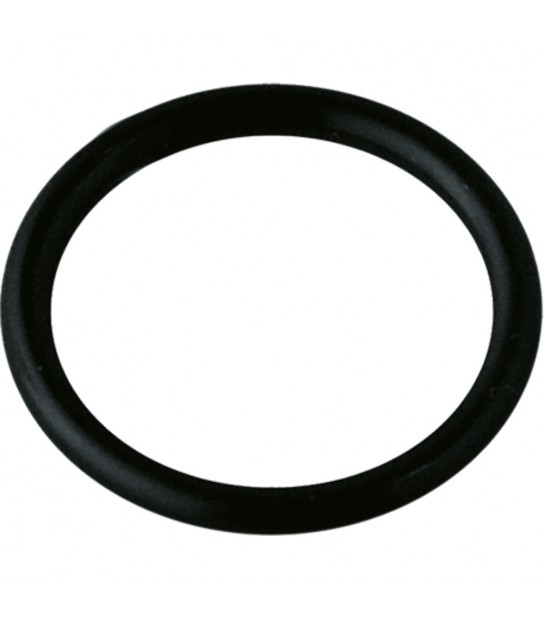 Guarnizione O-Ring Per Tappi E Riduzioni Radiatori Garda 1