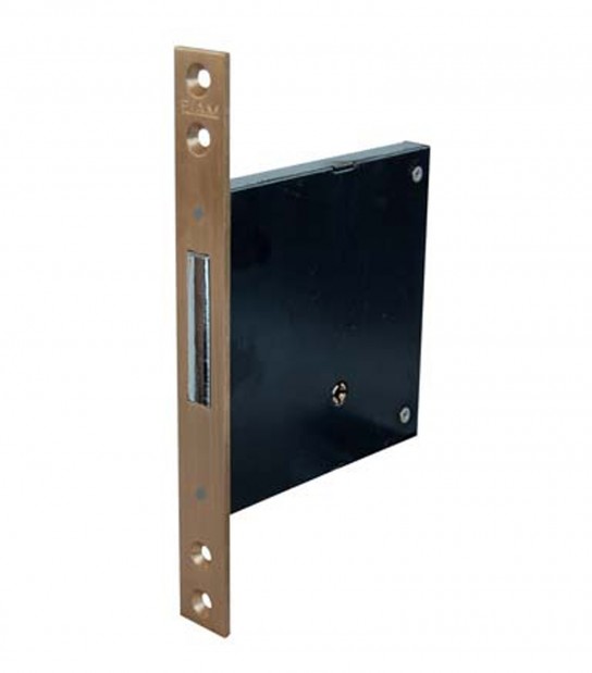 Serratura Metallo Infilare 1301 Fiam B.Q Ottone Sat F.Mm 22 C.Spillo M4 E.Mm 50
