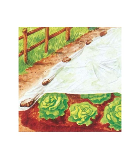 Stars Telo Antigelo Tnt Pesante Protezione Piante Stars Bianco Gr/Mq 30 L.Mt 10 H.Cm 80