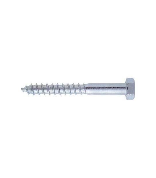 Vite Tirafondo Te Zincata Mm 10X100 Cf:Pz 50