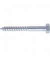 Vite Tirafondo Te Zincata Mm 10X100 Cf:Pz 50