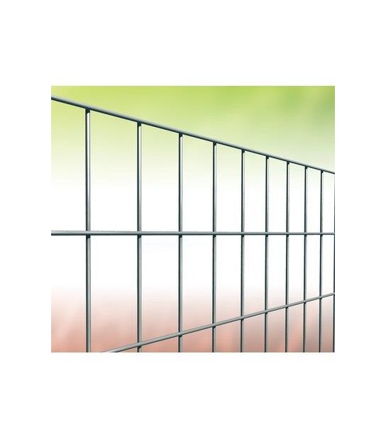 Cavatorta Rete Elettr Zincata 50X75 Margherita Cavatorta Mm 50X75 Mm 1,7 L.Mt 25 H.Cm 120