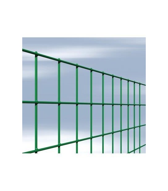 Cavatorta Rete Elettr Plasticata 50X75 Margherita Cavatorta Mm 50X75 Mm 2,1 L.Mt 25 H.Cm 180