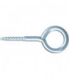 Occhiolo A Vite Zincato Puccioni Mod 23X120 Mm 16X50X6,0