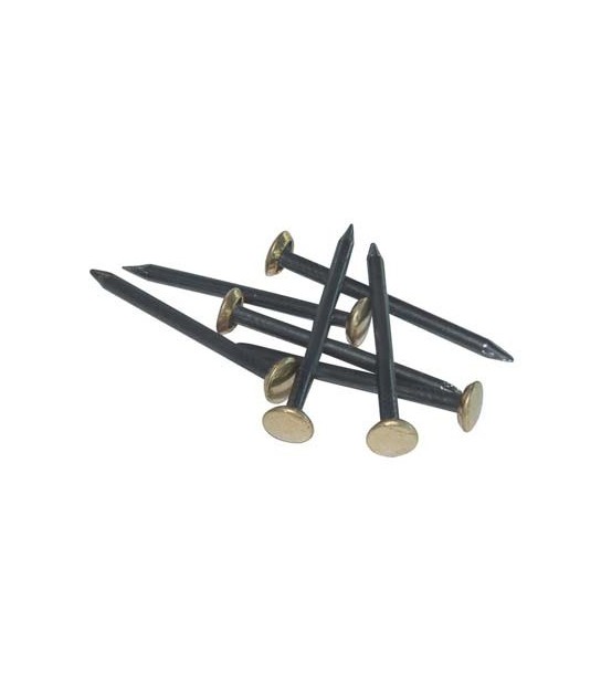 Chiodo Testa Ottone Acciaio Cf:Pz 100 Mm 30