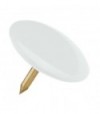 Puntina Disegno Ottonata Testa Plastica Bianco Cf:Pz 70