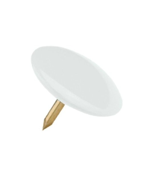 Puntina Disegno Ottonata Testa Plastica Colori Assortiti Cf:Pz 70