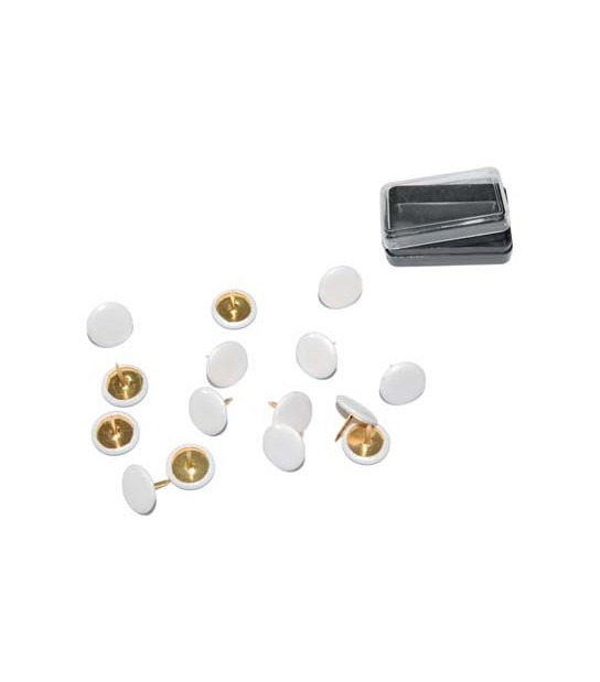 Puntina Disegno Pronty Ottonata Testa Plastica Bianco Cf:Pz 40