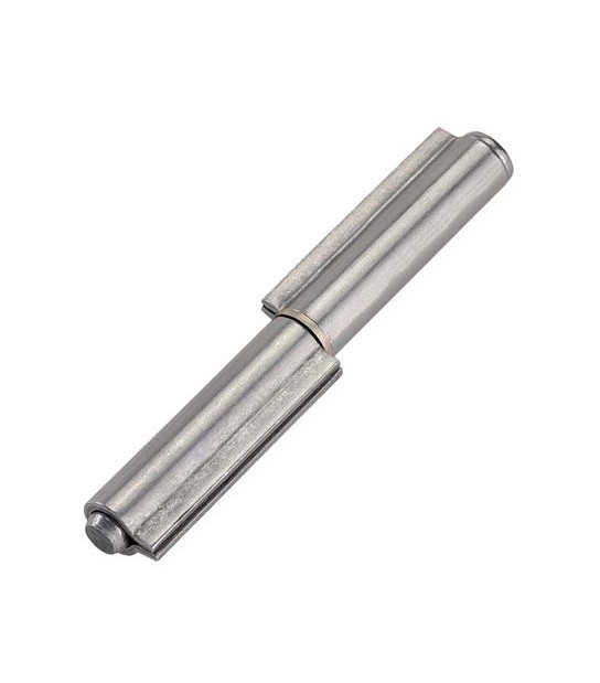 Combi Cerniera 2 Ali A Saldare 100 Combi Perno E Rondella Sfilabile Mm 100