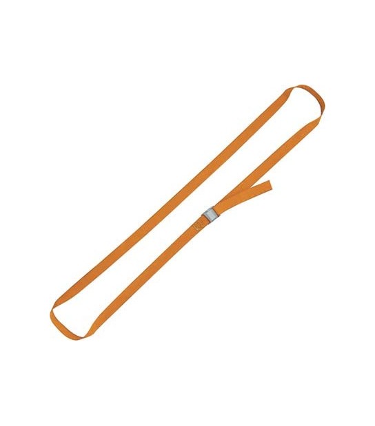 Robur Cinghia Ad Anello 8188F Robur L.Mt 2,5 H.Mm 25 Kg 100/200