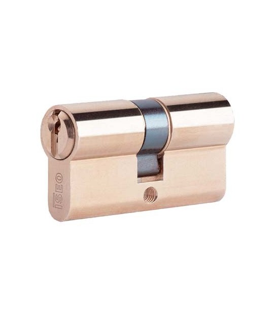 Iseo Cilindro Sagomato 8209 Iseo Ottone Chiavi 3 Camma Din Mm 60 30+30