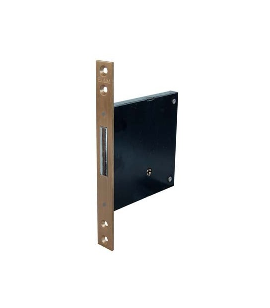 Fiam Iseo Serratura Metallo Infilare 1301 Fiam B.Q Ottone Sat F.Mm 22 C.Spillo M4 E.Mm 60