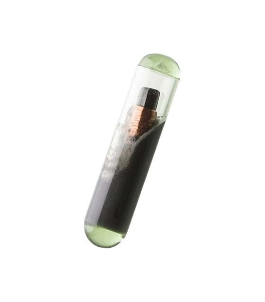 Silca Transponder Chiave Auto T48 Silca