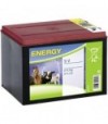Batteria Elettrorecinzione Kerbl Volt 9 Ah 55 A Secco