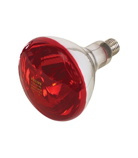 Lampada Riflettore Pulcini Infrarossi Volt 230 Watt 150 E27 Mm 125