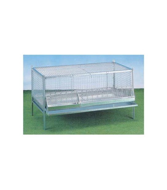 Gabbia Pulcini Antitopo Cm 100X50 H.Cm 60