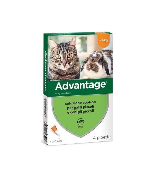 Elanco Antiparassitario Advantage Gatti Elanco Kg 0/4 Cf:Pz 4