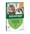 Elanco Antiparassitario Advantage Gatti Elanco Kg 0/4 Cf:Pz 4