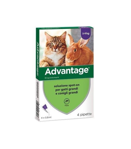 Elanco Antiparassitario Advantage Gatti Elanco Kg 4+ Cf:Pz 4