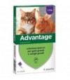 Elanco Antiparassitario Advantage Gatti Elanco Kg 4+ Cf:Pz 4