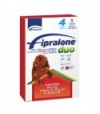 Formevet Antiparassitario Fipralone Duo Cane Formevet Kg 40/60 Cf:Pipette 4