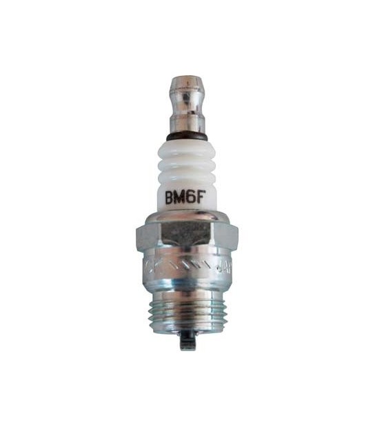 Candela X Motore Ngk Bm6F Ex Mm 16