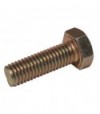 Vite Coppia Conica Decespugliatore M 8X1,25 Sx Mm 25 R972169